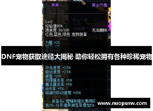 DNF宠物获取途径大揭秘 助你轻松拥有各种珍稀宠物